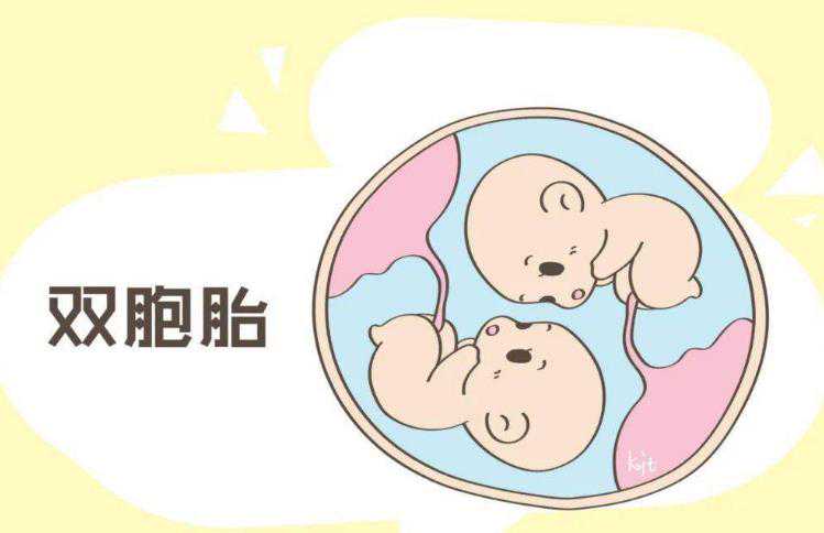 北京做试管婴儿多少钱大概？一次试管的费用多少钱？